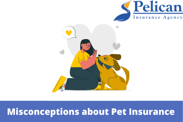 Common Misconceptions about Pet Insurance