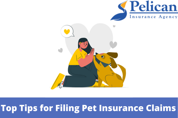 Top Tips for Filing Pet Insurance Claims
