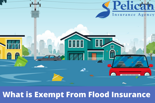 What is Exempt From Flood Insurance Requirements