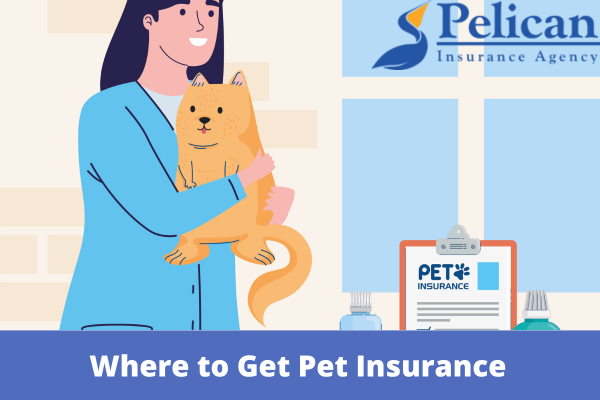 Where to Get Pet Insurance